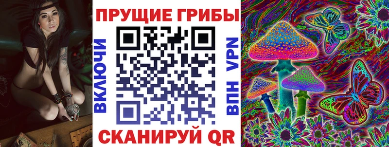 Псилоцибиновые грибы GOLDEN TEACHER  где можно купить   Приозерск 